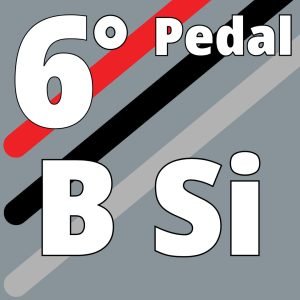 B-SI 39 - Octave 6