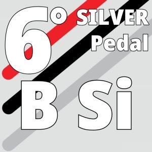 B-SI 39 - Octave 6