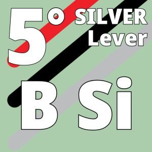 B-SI 32 - Octave 5