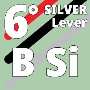 B-SI 39 - Octave 6