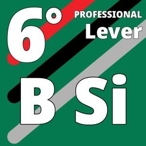 B-SI 39 - Octave 6