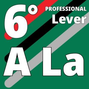 A-LA 40 - Octave 6